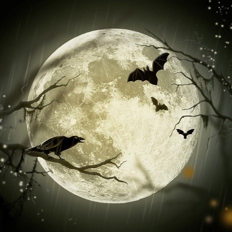 halloween g39534182e 640